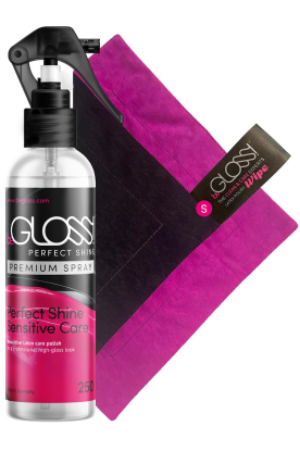 Latex Rubber Polish beGloss Perfect Shine 250ml Spray Plus Small Polishing Cloth - Latex clothing